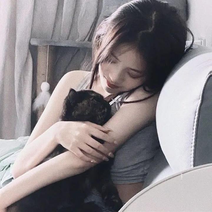 美鸟伴身边